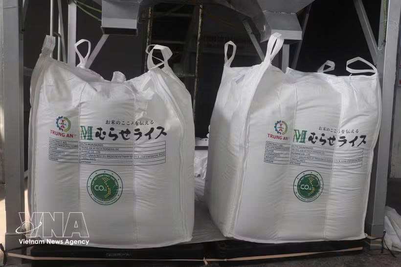 70,000 tons of rice granted “Low-emission Green Vietnamese Rice” label